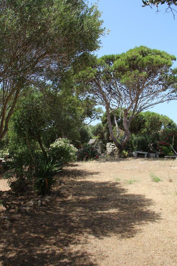 Le 25 Tartarughe Bed & Breakfast Santa Teresa Gallura Exterior photo